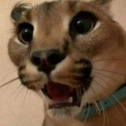 𝖉𝖗𝖔𝖇𝖈𝖍𝖎𝖐