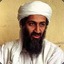 Osama Bin Working