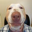 Woof woof