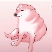 二战老登夜袭寡妇村