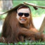 orangutan FormaAutizmo