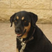 Fureh - steam id 76561197965643129