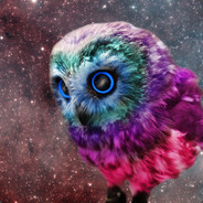 WhimsicalOwl