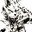 FOXHOUND