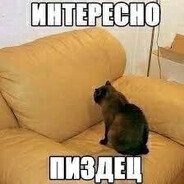 lazyy