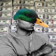 Duckworth King of The Mallards