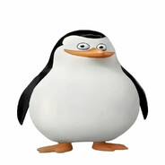 马达加斯加王源