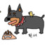 Pinscher