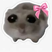 Killua - steam id 76561198852843217