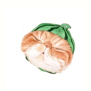 BLG电子竞技俱乐部****分