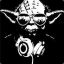 djvidan