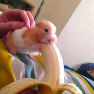 她说国产不能输