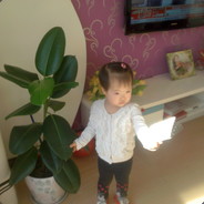 Yy.919.PG.乱世@2017@2017