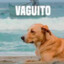 VAGUITO