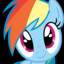 xX_RainbowDashLover_Xx