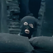 樱花欲落集满身