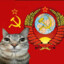 Кот Коммунист