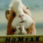 H o M y a K