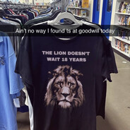 The Lion