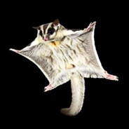 SugarGlider2000