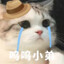 州州州州州游