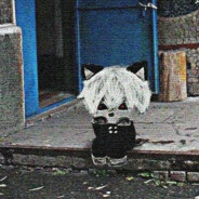 Граф Мошонка