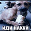 Dzhon PSINA