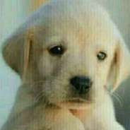 南中唯一自由人