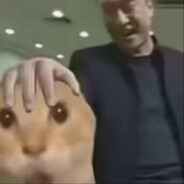 我哈你一声你敢曼波吗