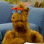ALF