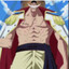 THE ONE PIECE IS REAL
