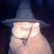 Giggles's Steam avatar