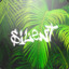 SilentBarbosa | lυηєαятz