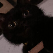 JD
