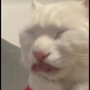 邪↗恶↘鱼↗蛋↘