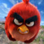 angry birds