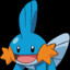 Mudkip