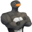 Roadman pingu