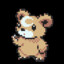 Bearzi
