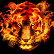 Tiger of Fire
