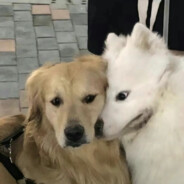 关我圈圈什么事