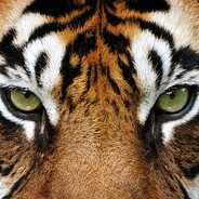 deKapou - steam id 76561199344095416