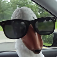 GUS avatar
