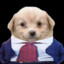 ДИРЕКТОР ДЕДЛОКА's avatar