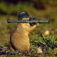 Master Guinea-pig - steam id 76561197961710958