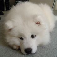 U・x・U 【兔子】