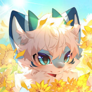 老大别打窝了喵