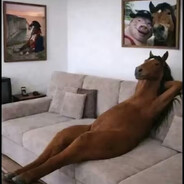 Rocinante