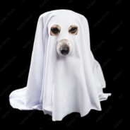 Ghost Dog avatar