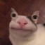MeMeMeoW